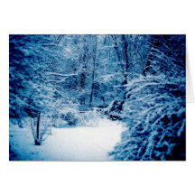 País das maravilhas do inverno cartoes