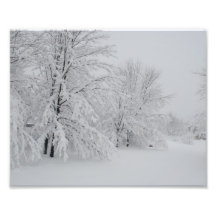País das maravilhas do inverno de Michigan Impressão Fotográfica