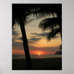Palm Beach Impressão