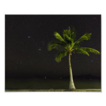 Palma de Cardwell Impressão De Foto