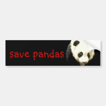 Panda Adesivo