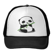 Panda bonito bones