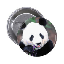 Panda Botons