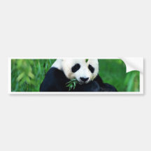Panda que come as folhas adesivos