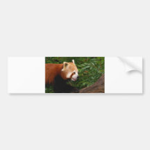Panda vermelha adesivo