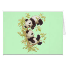 Pandas bonitos cartao