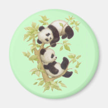 Pandas bonitos imãs de refrigerador