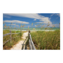 Paniculata de Uniola da aveia do mar) que cresce p Impressão Fotográfica