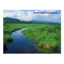 Pântano do nordeste da vitória de Vermont do reino Cartao Postal