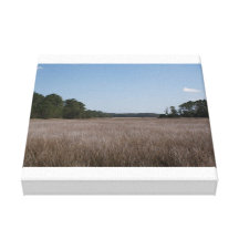 Pântano Impressão De Canvas Esticada