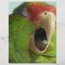 papagaio que boceja panfletos personalizado