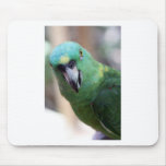 papagaio verde 2.jpg mouse pads