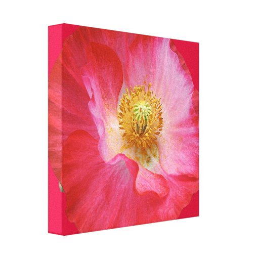 Papoila Impressão De Canvas Esticadas