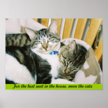 Para o melhor assento na casa, mova os gatos posteres