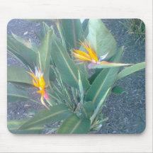 Paraíso Mousepad