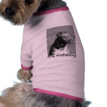 Pare de dogfighting! roupa para pet