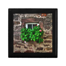 Parede de pedra com plantas da janela porta trecos
