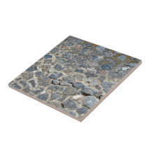 Parede de pedra resistida com musgos azulejos de cerâmica 