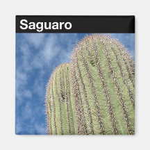 Parque nacional de Saguaro Imã