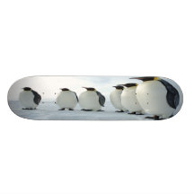 Partido do pinguim skateboard