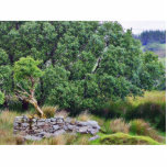 Passagem de Glengesh na paisagem de Ireland Fotoesculturas