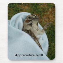 Pássaro apreciativo mousepads
