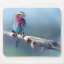 Pássaro de descanso - tapete do rato mouse pad