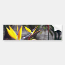Pássaro de flores de paraíso adesivo