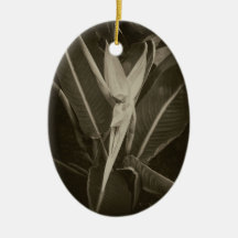 Pássaro de paraíso Antiqued 8 Ornamento Para Arvore De Natal