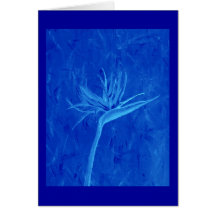 Pássaro de paraíso azul cartões