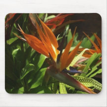 Pássaro de paraíso mouse pad