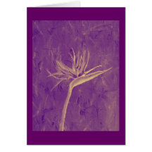 Pássaro de paraíso roxo cartoes