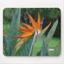 Pássaro do tapete do rato do paraíso mousepad