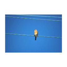 Pássaro em um fio impressão de canvas esticadas