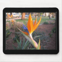 Pássaros de paraíso mousepad