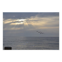 Pássaros que voam fora no por do sol impressão fotográfica