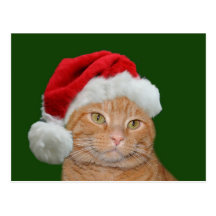 Patas do papai noel cartao postal