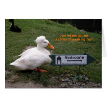 Pato da sala de resto cartoes
