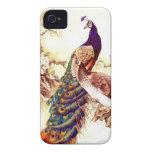 Pavão real capa iPhone 4