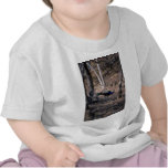 Pavão Tshirts
