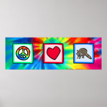 Paz, amor, guaxinins poster
