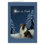 Paz Sheltie Cartao