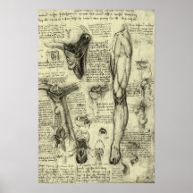 Pé humano Leonardo da Vinci da laringe da anatomia Posters