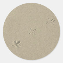 Pegadas do pássaro na areia adesivos