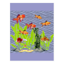 Peixe dourado cartao postal