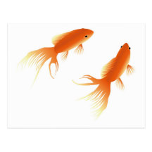 PEIXE DOURADO CARTOES POSTAIS