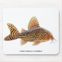 Peixe-gato Mousepad de Corydoras Sterbai