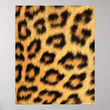 Pele de Jaguar Posters