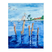 Pelicanos tropicais cartões postais