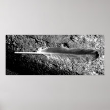 pena poster